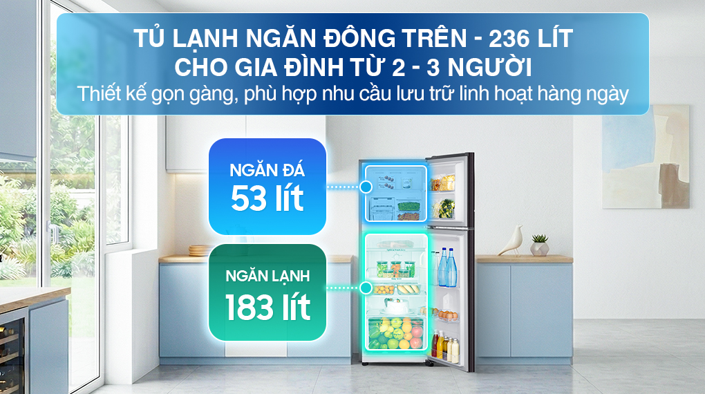 Tủ lạnh Samsung Inverter 236 Lít RT22M4032BU/SV