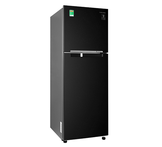 Tủ lạnh Samsung Inverter 256L RT25M4032BU/SV