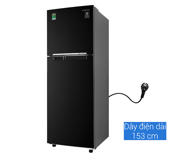 Tủ lạnh Samsung Inverter 256L RT25M4032BU/SV