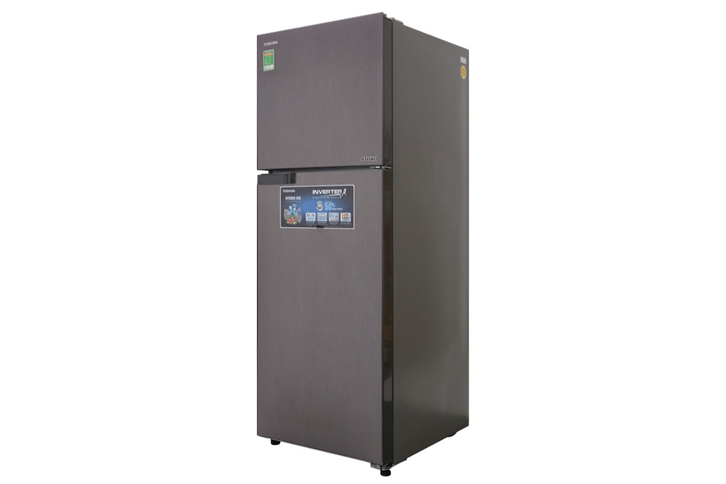 Tủ lạnh Toshiba 305L Inverter GR-A36VUBZ(DS1) Bạc