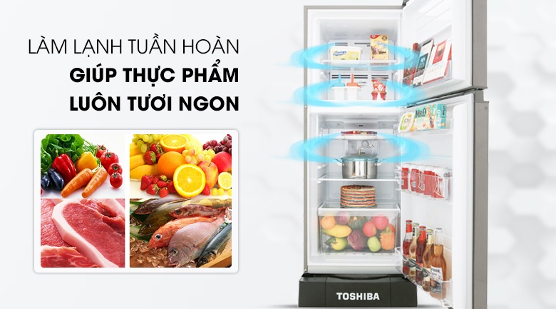 Tủ lạnh Toshiba Inverter 194L A25VS(DS1)