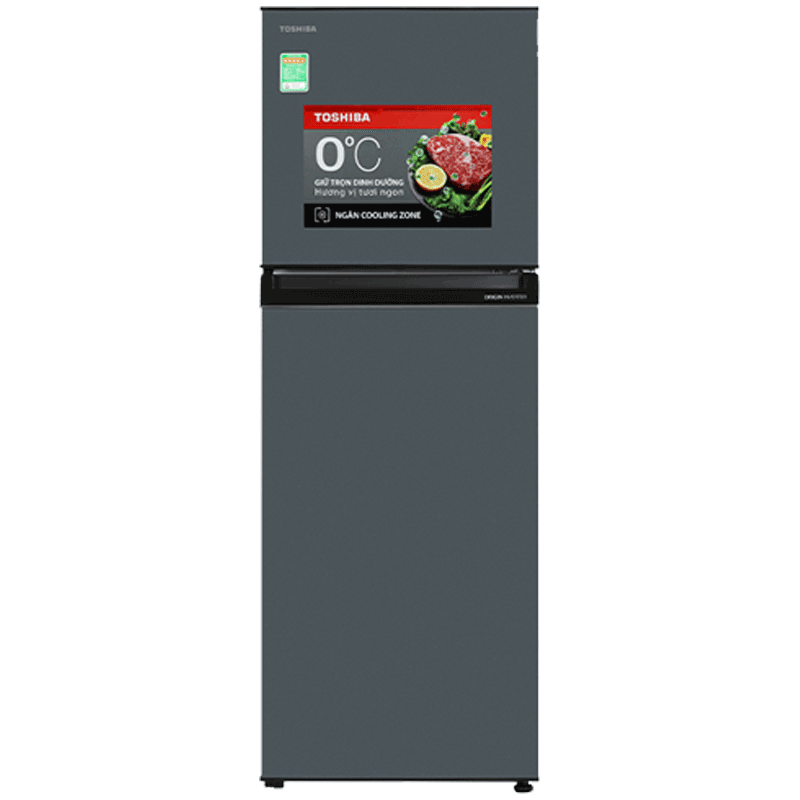 Tủ lạnh Toshiba Inverter 233L GR-RT303WE-PMV(52)