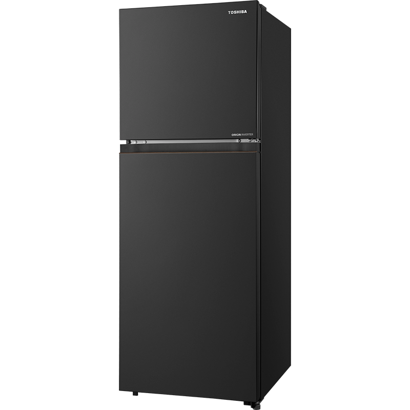 Tủ lạnh Toshiba Inverter 271 Lít GR-RT349WE-PMV(68)