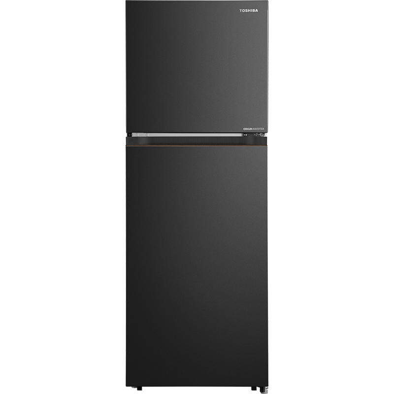Tủ lạnh Toshiba Inverter 271 Lít GR-RT349WE-PMV(68)