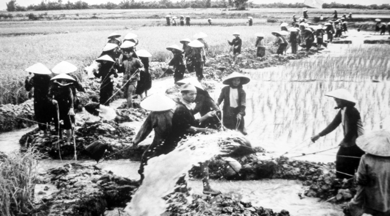 Ngày thành lập Hội Nông dân Việt Nam (14/10)