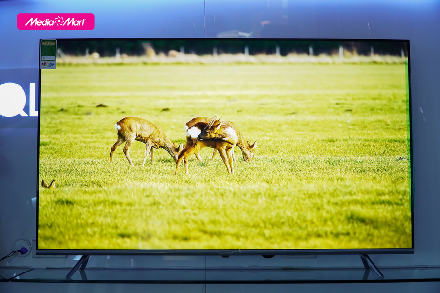Smart Tivi Coex 4K 55 inch 55UT7000XG Google TV & Smart Tivi Coex 4K 65 inch 65UT7000XG Google TV