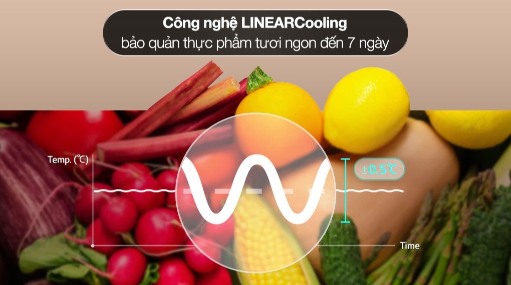 Công nghệ bảo quản vượt trội – Tươi ngon chuẩn mức - Nhiều tiện ích đi kèm