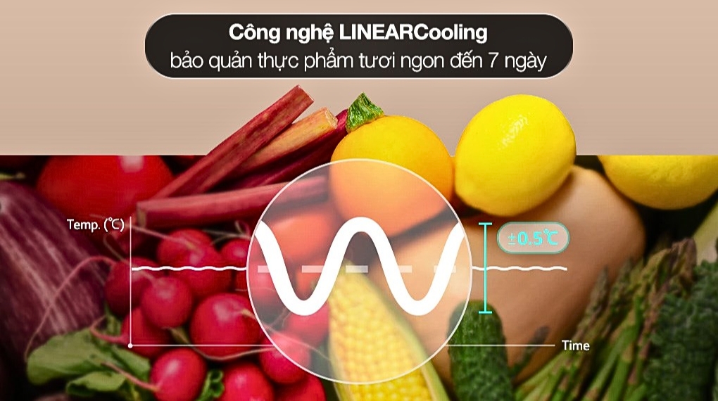 Sắp xếp Khoa học và Linh hoạt Tối đa