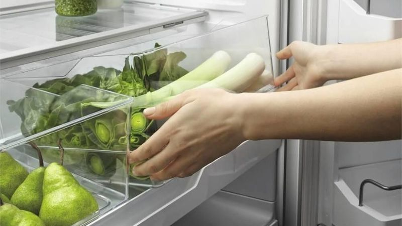Hướng dẫn bảo quản rau trong tủ lạnh tươi lâu hơn