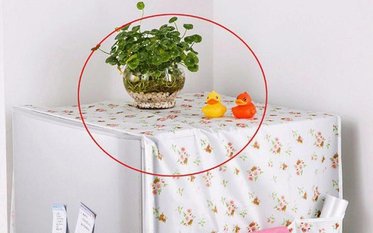 Những vật dụng không được đặt trên nóc tủ lạnh
