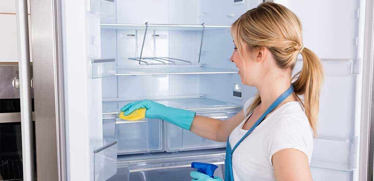 Những lưu ý nhằm hạn chế tình trạng tủ lạnh có dòi