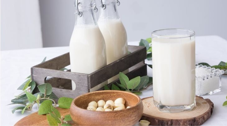 Cách bảo quản sữa hạt sen