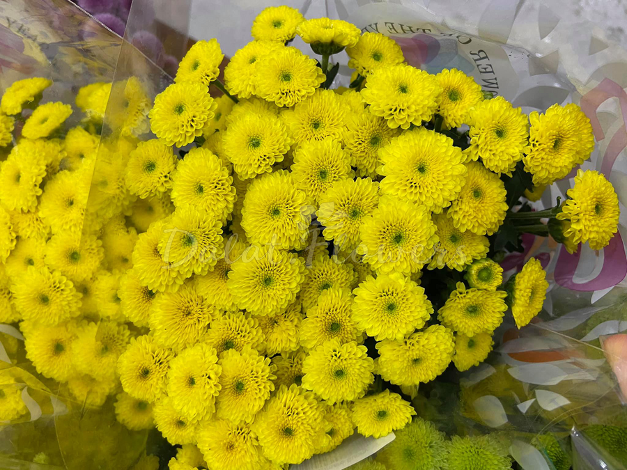 Các loại hoa nên đặt lên bàn thờ ngày Tết