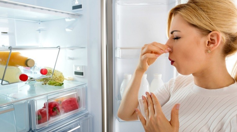 Nguyên nhân gây ra tình trạng tủ lạnh bị tắc ẩm