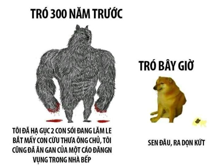 Top meme hài hước được sử dụng trên mạng xã hội