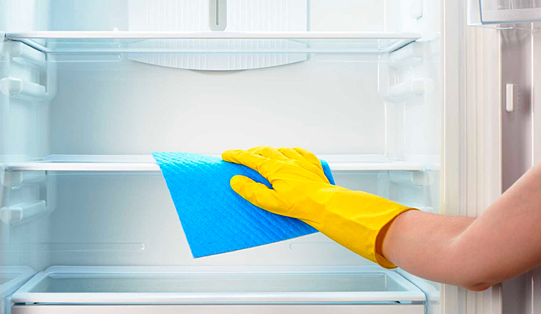 Cách diệt kiến trong tủ lạnh