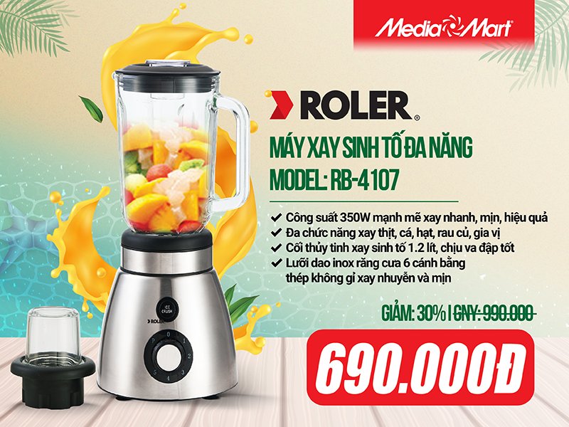 Máy xay sinh tố đa năng ROLER RB-4107