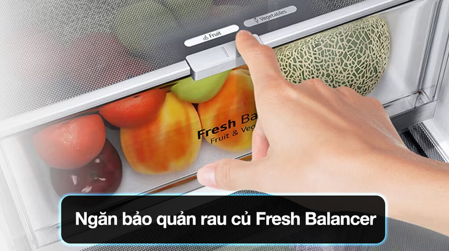 Ngăn bảo quản rau củ Fresh Balancer