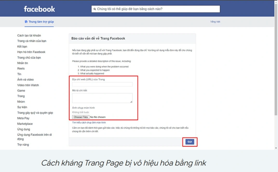 Cách Mở Lại Trang Fanpage Bị Vô Hiệu Hóa