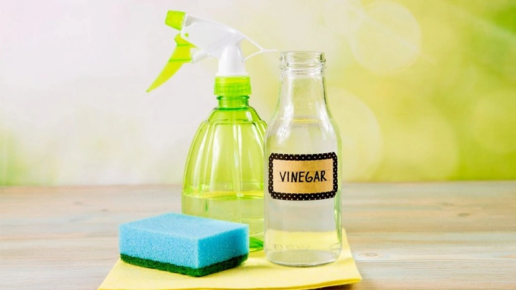 Giấm, bọt biển, nước ấm... là những dụng cụ thường được dùng khi vệ sinh tủ lạnh