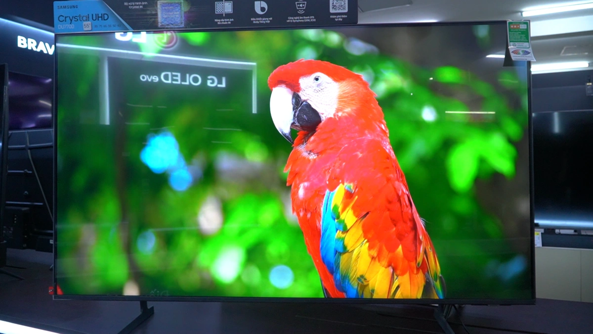 Cảm Nhận Màu Sắc Chân Thực Trong Khung Hình 4K Sống Động – Bộ Xử Lý Crystal 4K