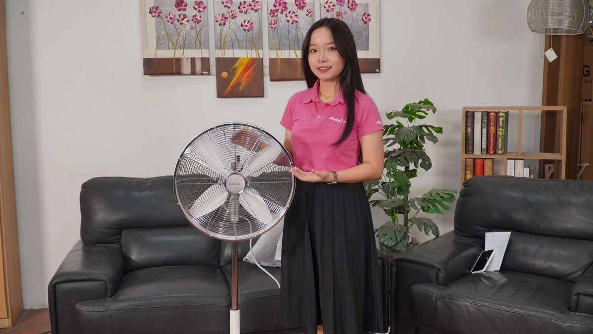 Công suất 50W – Làm mát nhanh, tản gió đều