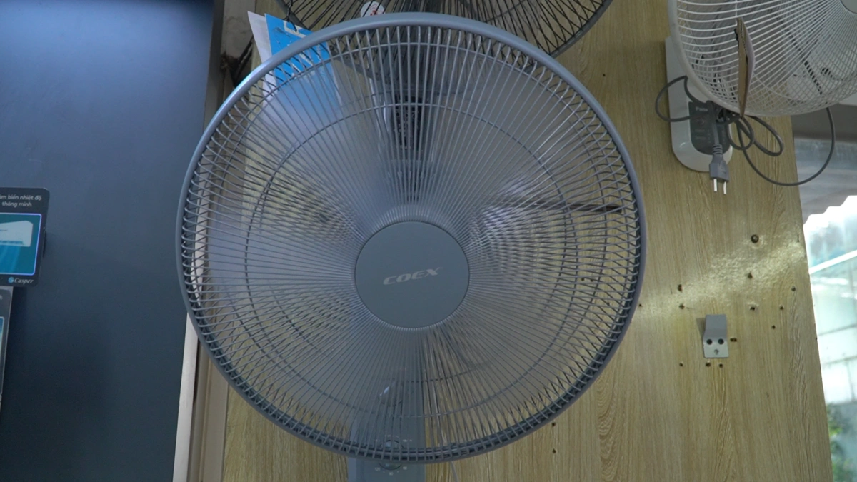 Động cơ đồng nguyên chất – Vận hành bền bỉ, tiết kiệm điện