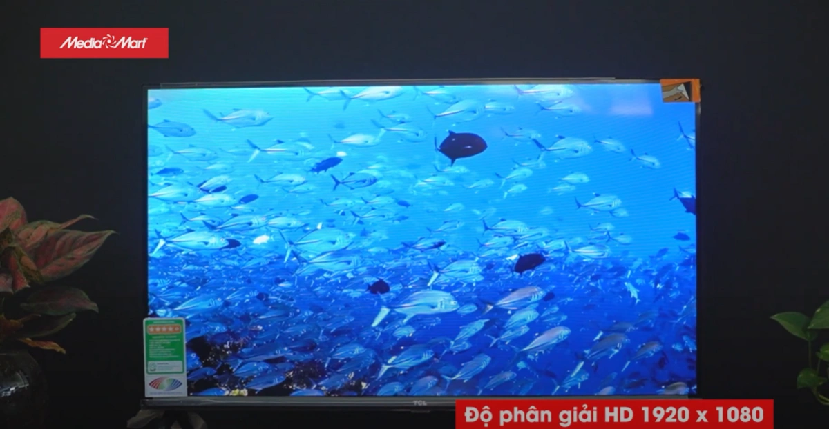 Hình ảnh sắc nét, màu sắc sống động với HDR10