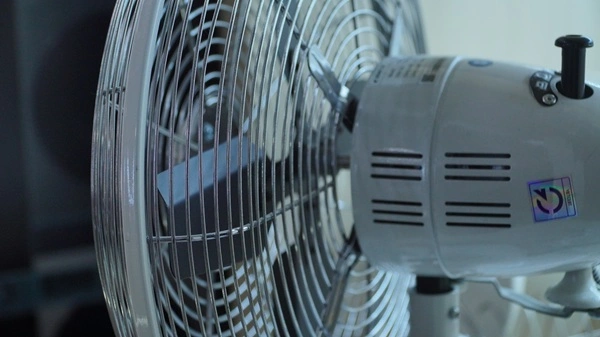 Thiết kế đơn giản nhưng không kém phần tinh tế