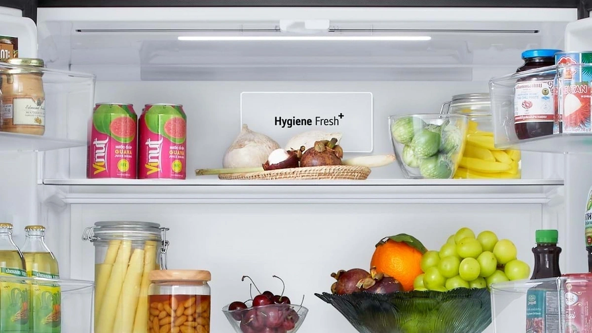 Tủ được trang bị bộ lọc Hygiene Fresh+ giúp ngăn chặn sự phát triển của vi khuẩn, nấm mốc, mùi hôi đến 99,99%
