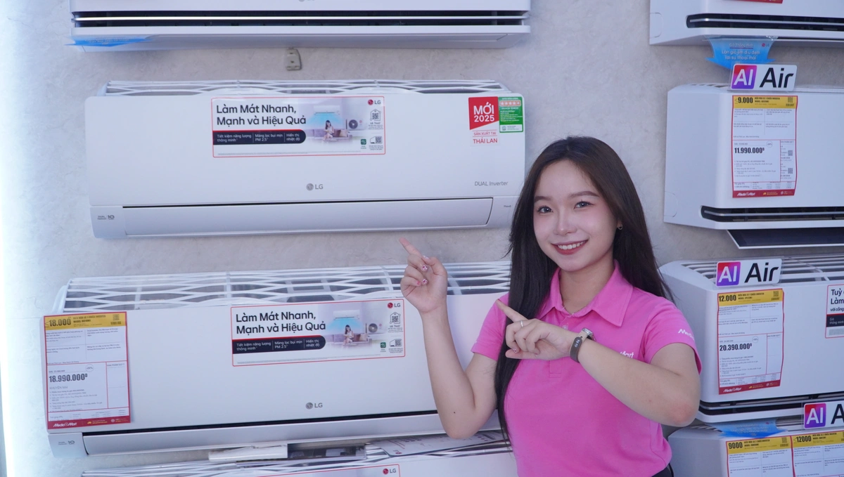 Điều hòa LG 1C Inverter 9.000BTU (1HP) IEC09M1: