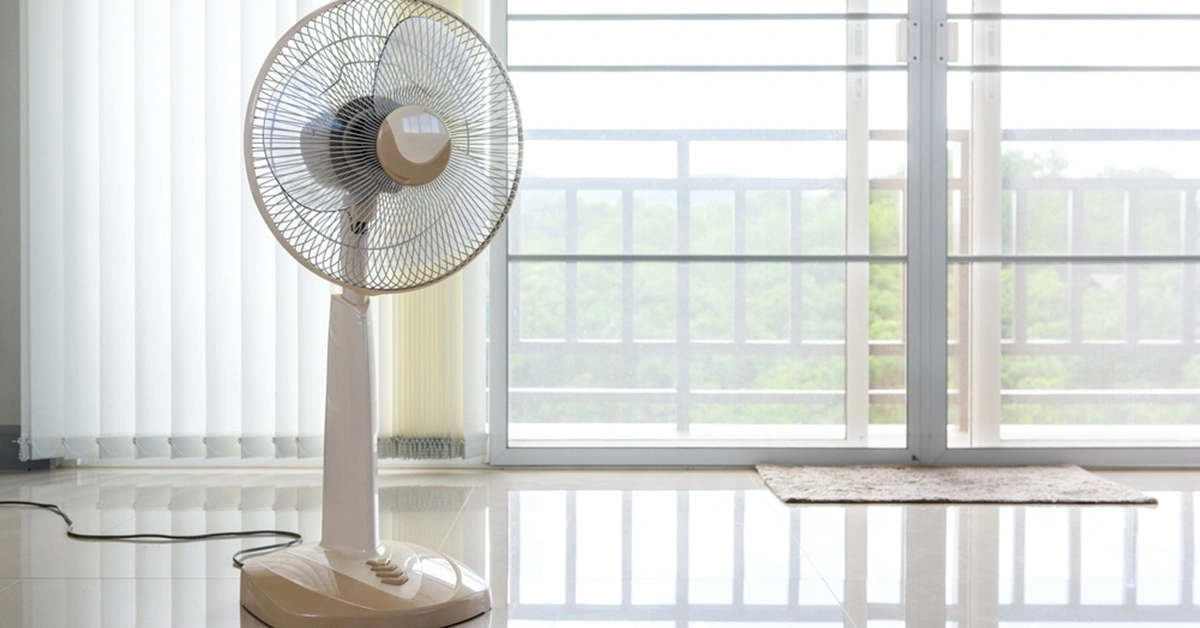 Quạt cây của các thương hiệu lớn như Toshiba, Sharp, Panasonic... thường có giá từ 1 - 3 triệu đồng