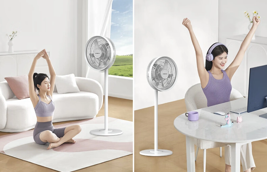 Quạt cây tích điện 5 cánh COEX CF-7123R