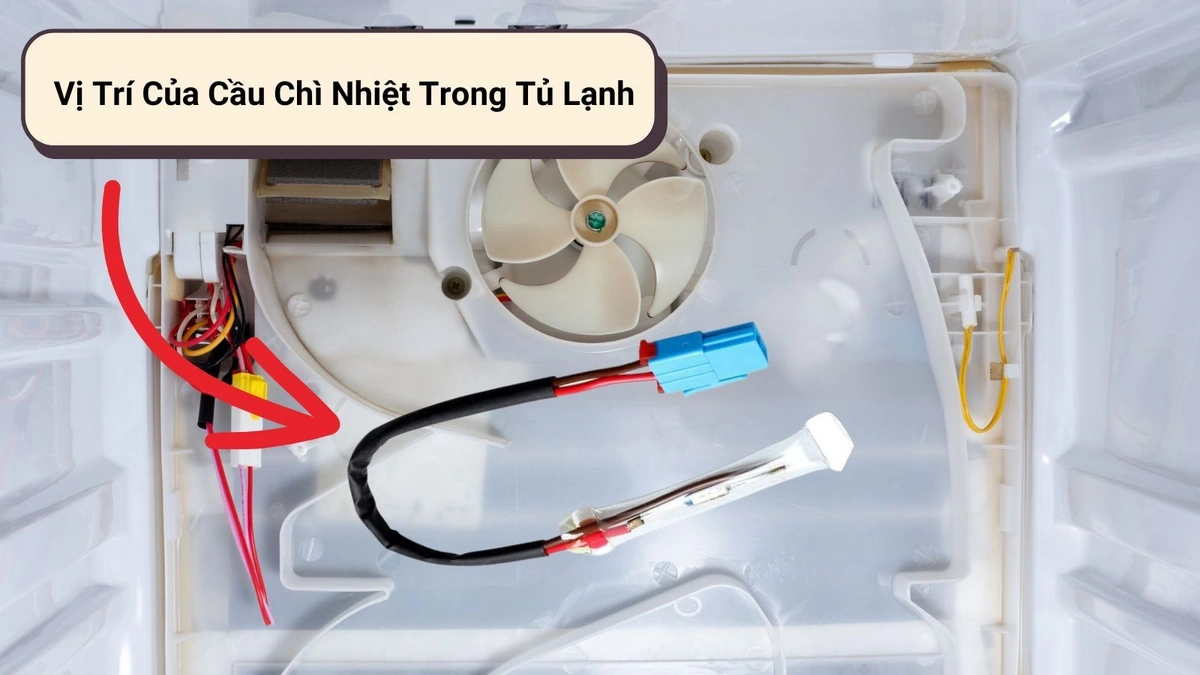 Cầu chỉ tủ lạnh đứt khiến thiết bị không hoạt động