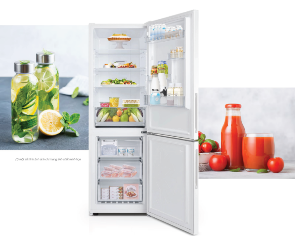 Gia đình 4 người có thể chọn mua tủ lạnh 2 cửa Bespoke Inverter 322 Lít COEX RT-4011GWB-BS