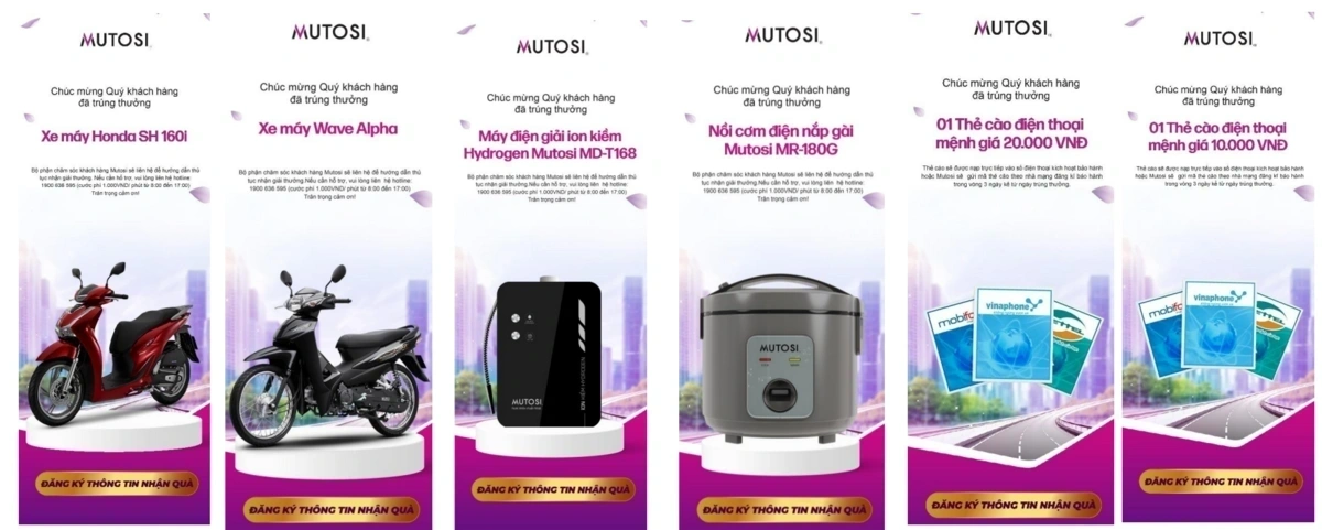 Kết quả hiển thị