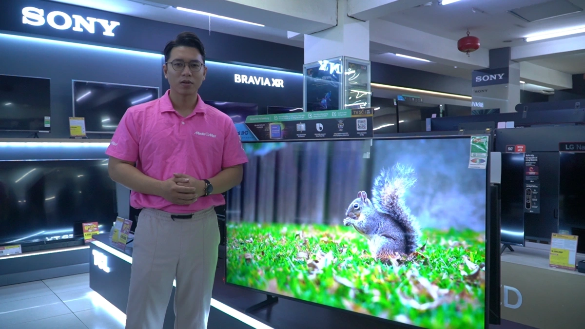 Tái Hiện Sắc Màu Cuộc Sống, Rực Rỡ Và Sống Động Hơn