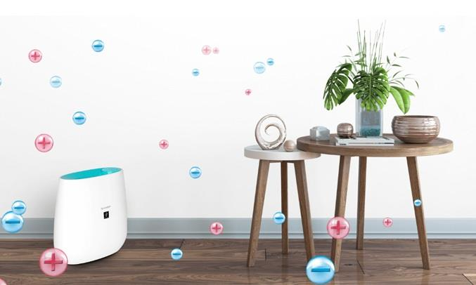 Lọc không khí Sharp FP-J30E-B/A