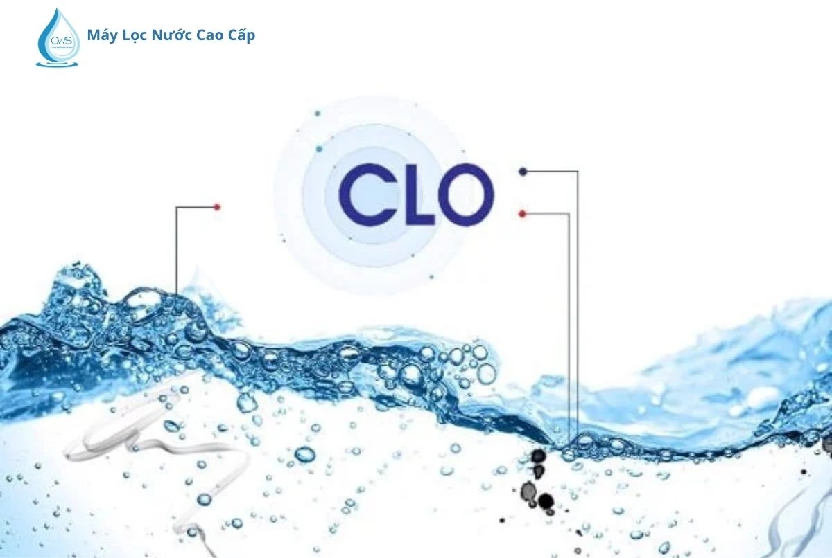 Đánh giá chất lượng nước đầu vào