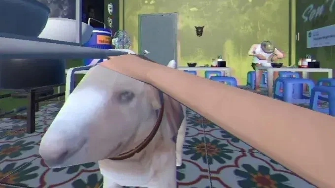 Cậu Vàng trong Tiệm Phở của Anh Hai