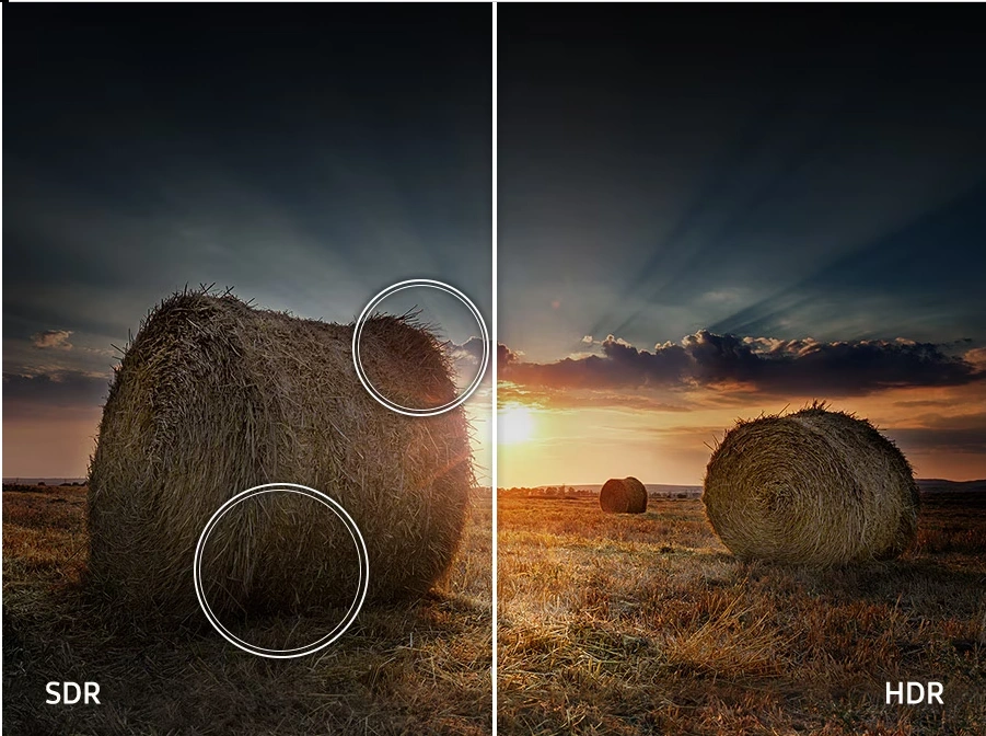 Chất lượng hình ảnh trên cả tuyệt vời