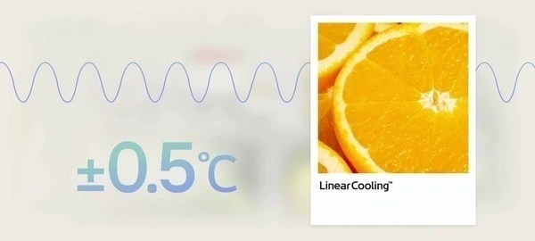 Công nghệ bảo quản: Giữ thực phẩm tươi ngon dài ngày