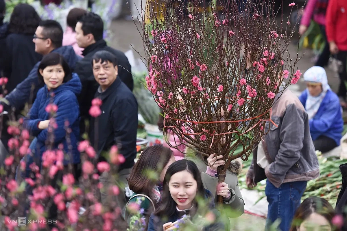 Những câu chúc tết hay ý nghĩa năm Bính Ngọ 2026