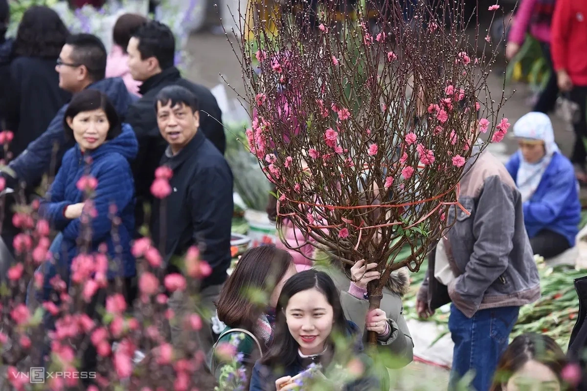 Những câu chúc tết hay ý nghĩa năm Bính Ngọ 2026