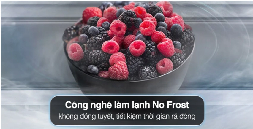 Tủ lạnh 4 cửa Inverter 415 Lít Coex RM-4014MIS - Giá ngon, nhiều tiện ích