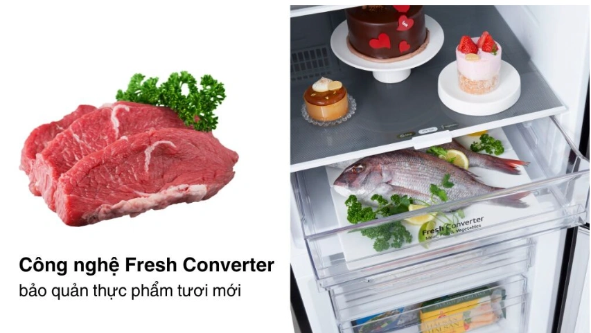 Tủ lạnh ngăn đá dưới sang trọng