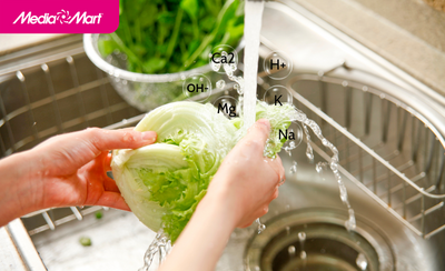 Có nên dùng nước ion kiềm để rửa rau củ?