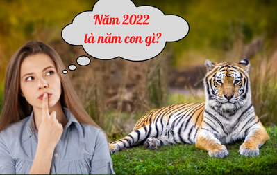 Năm 2022 là năm nhỏ gì, mệnh gì? Sinh bé năm 2022 giờ nào tốt?