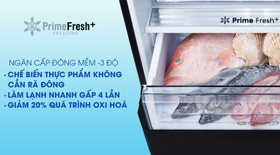 Ngăn cấp đông mềm trên tủ lạnh Panasonic có gì đặc biệt?