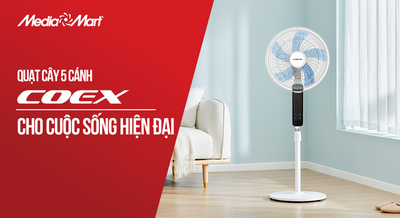 Quạt cây 5 cánh Coex: Chiếc quạt cho cuộc sống hiện đại (CF-7120A)